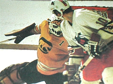 Goalie Mask - Dave Dryden WHA Chicago Cougars