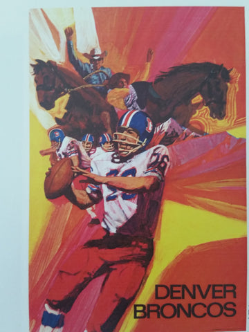 Lot of Vintage NFL Posters 1968 - 1972 ALL TEAMS Included, Pats, Packers,Cowboys, Etc...